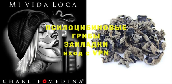 дмт Осинники