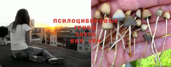 амфетамин Няндома