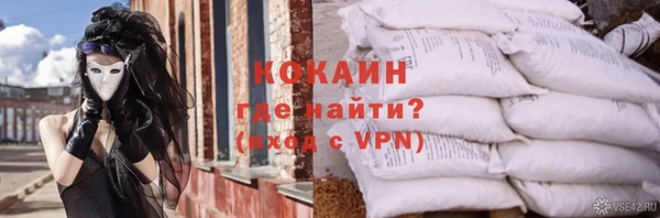 дмт Осинники