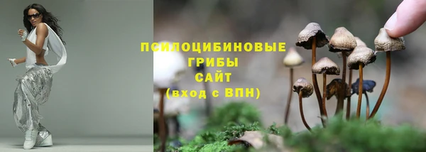 дмт Осинники