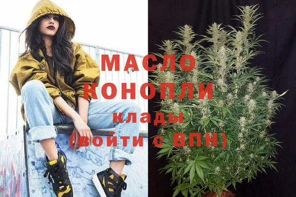 дмт Осинники