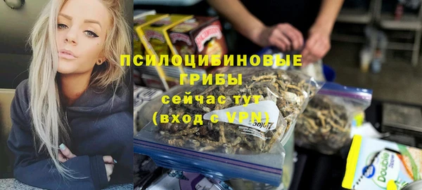 дмт Осинники