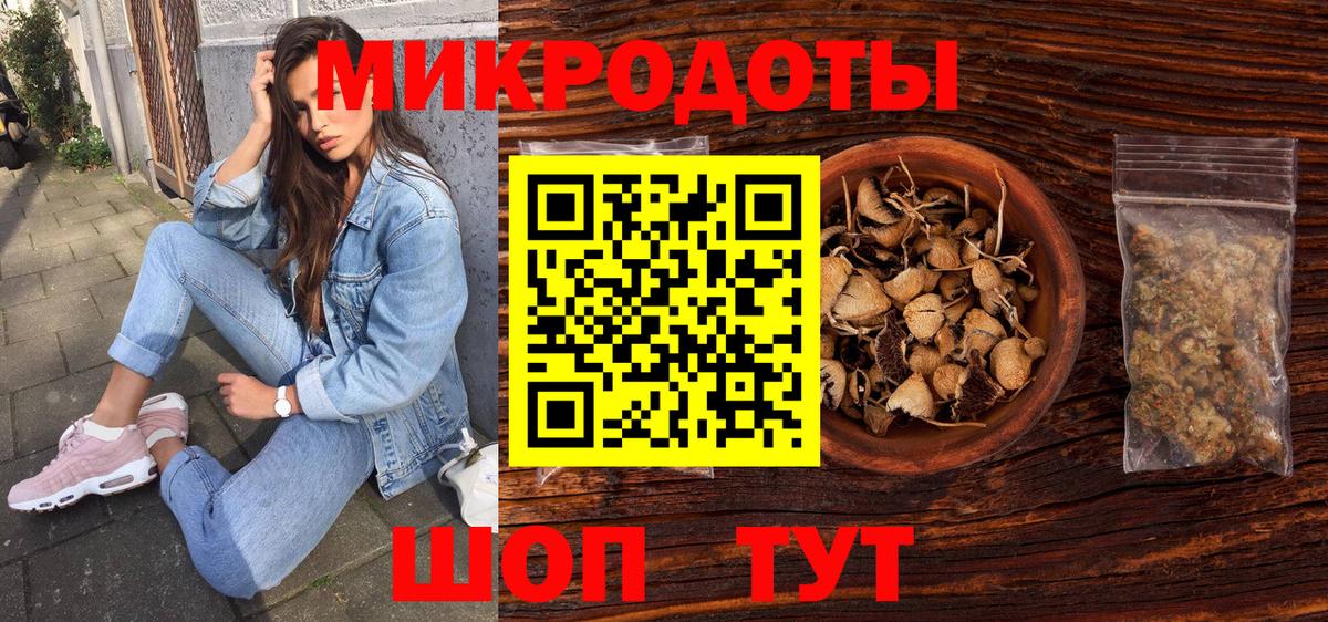 Северобайкальск  Галлюциногенные грибы прущие грибы  Вход с VPN 