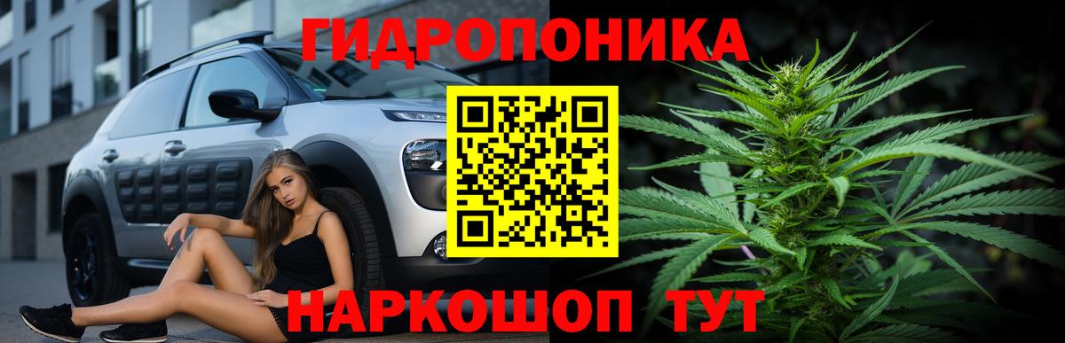 Бошки Шишки конопля Северобайкальск